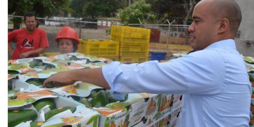 10-toneladas-de-aguacates-mangos-exportadas-a-España-cajas-de-mango-hombre-mujer-gobernador-movidatuy.com
