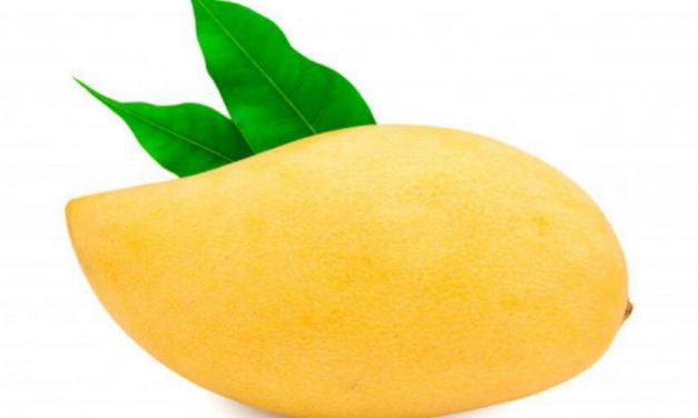 El mango y sus beneficios para la salud.
