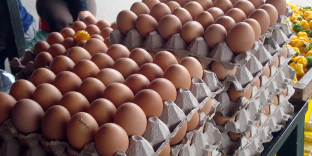 compradores-denuncian-cartón-huevos-sigue-aumentando-noticia-nacional-movidatuy.com