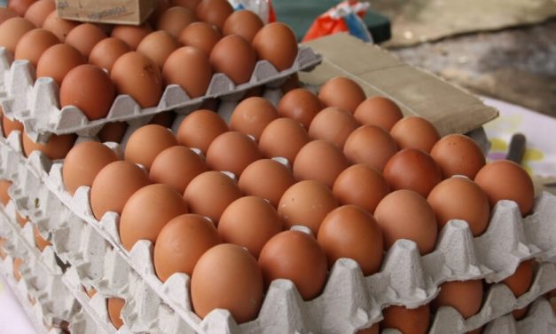 😮 Compradores denuncian que el cartón de huevos sigue aumentando 😮