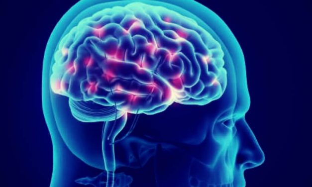 ✌ Científicos realizan un profundo estudio del cerebro que no duerme ✌