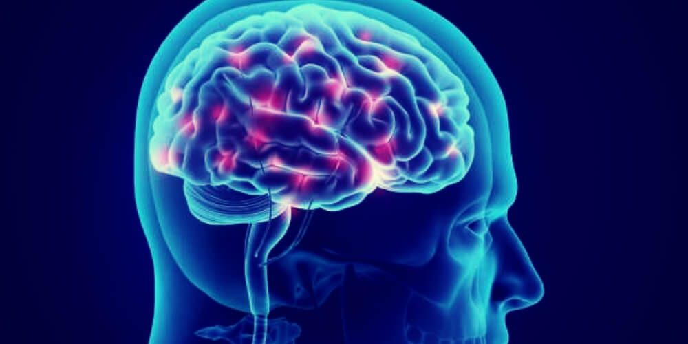 ✌ Científicos realizan un profundo estudio del cerebro que no duerme ✌