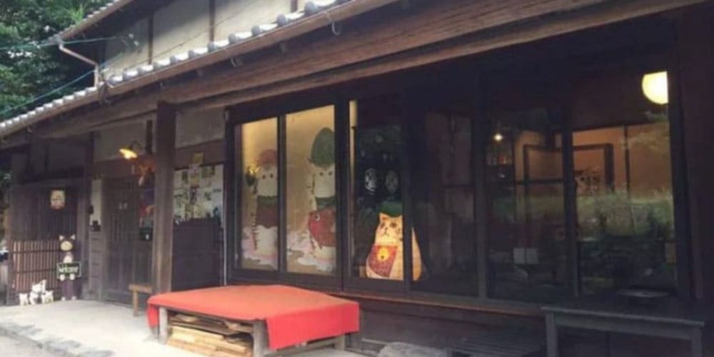 ✌ Increíble santuario de gatos en Japón tiene monjes muy tiernos ✌