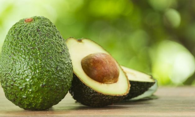 🥑 Propiedades y beneficios medicinales increíbles de la semilla de aguacate 🥑