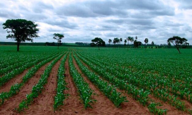 😮Crisis alimentaria en Venezuela se agrava por enfermedades en los cultivos😮