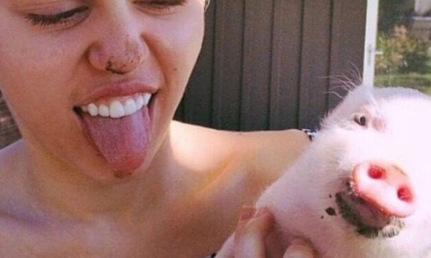 ✌ Estas celebridades adoptaron a unas mascotas poco comunes ✌