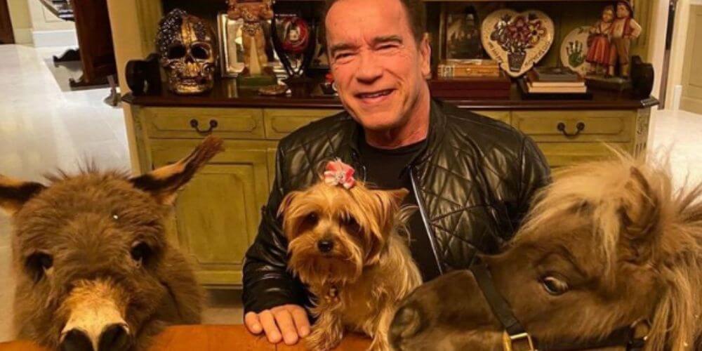 estas-celebridades-adoptaron-a-unas-mascotas-poco-comunes-arnold-schwarzenegger-movidatuy.com