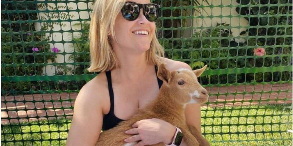 estas-celebridades-adoptaron-a-unas-mascotas-poco-comunes-reese-witherspoon-movidatuy.com