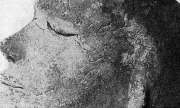 ✌ Cabeza humana de 2.100 años tenía restos de una oveja dentro ✌