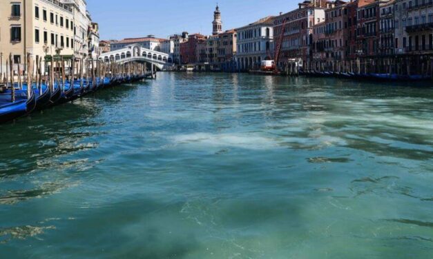 ✌ Por la cuarentena, el agua de Venecia se hace cristalina ✌