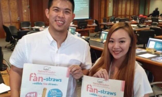 ✌ Crean pitillos biodegradables hechos de arroz en Malasia ✌