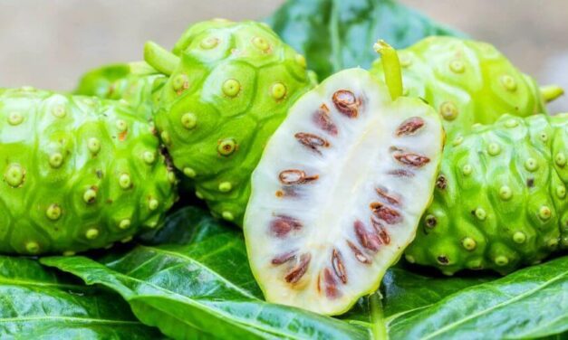 ✅ Cómo aprovechar las increíbles propiedades y beneficios del Noni ✅