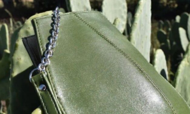✌ Diseñan y elaboran bolsos con cuero de cactus en México ✌