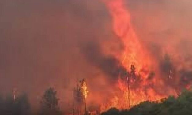 🔥 Extraño tornado de fuego se presentó tras un incendio forestal en California 🔥