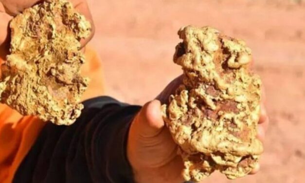 ✌ Hallaron 2 pepitas de oro que podrían valer hasta en US 350.000 ✌