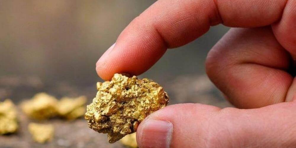 hallaron-2-pepitas-de-oro-que-podrian-valer-hasta-en-US-350.000-oro-encontrado-movidatuy.com