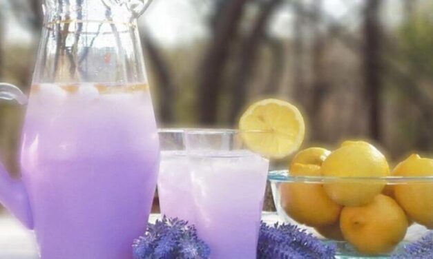 ✌ Conoce la mejor limonada de lavanda que calma la ansiedad y los dolores de cabeza ✌