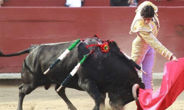 ✌ En Perú ya planean erradicar por completo las corridas de toros ✌
