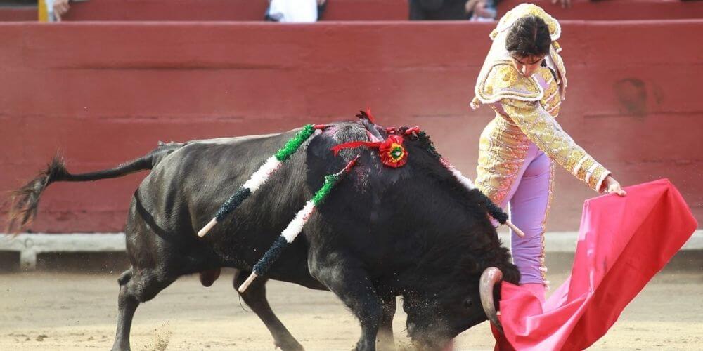 ✌ En Perú ya planean erradicar por completo las corridas de toros ✌