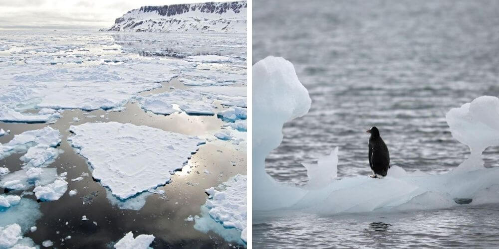 en-solo-treinta-anos-el-planeta-ha-perdido-28-billones-de-toneladas-de-hielo-glaciar-derritiendose-movidatuy.com