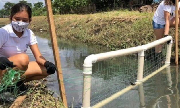 ✌ Un grupo de jóvenes realizaron una competencia mundial ecológica ✌