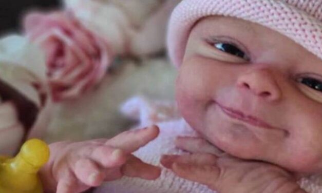 ✌ Artista crear muñecos increíbles «reborn» que parecen bebés reales ✌