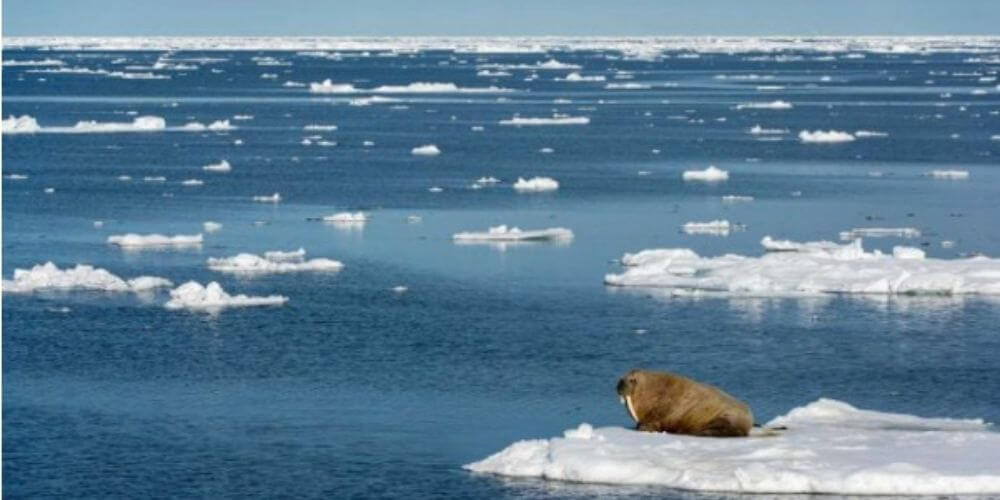 👎 Cambio climático: Primera vez que el ártico de Siberia no se congela 👎