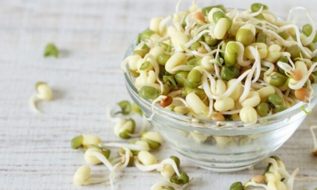 ✅ ¿Cómo hacer frijoles chinos germinados? Un alimento delicioso y rico en propiedades nutricionales ✅