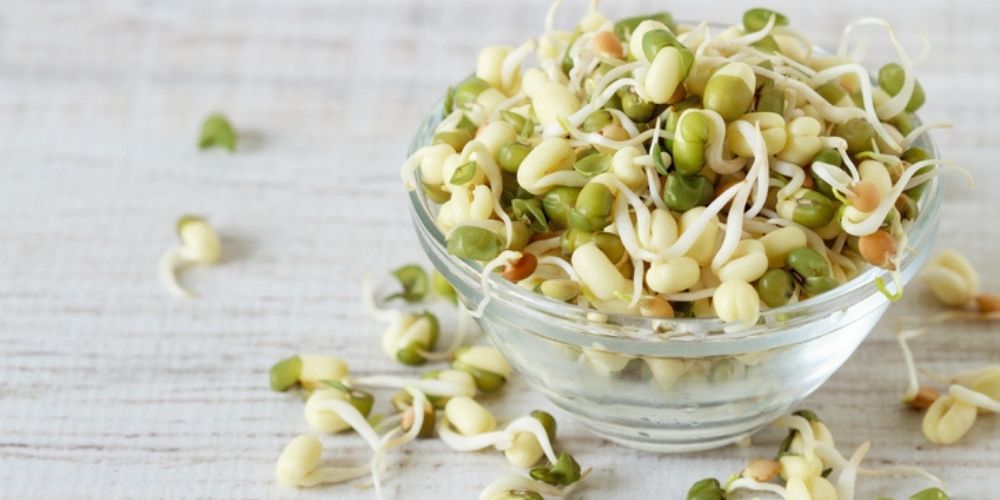 ✅ ¿Cómo hacer frijoles chinos germinados? Un alimento delicioso y rico en propiedades nutricionales ✅