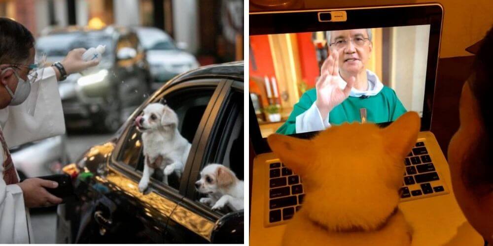 sacerdotes-filipinos-salen-a-las-calles-para-bendecir-a-las-mascotas-animales-movidatuy.com