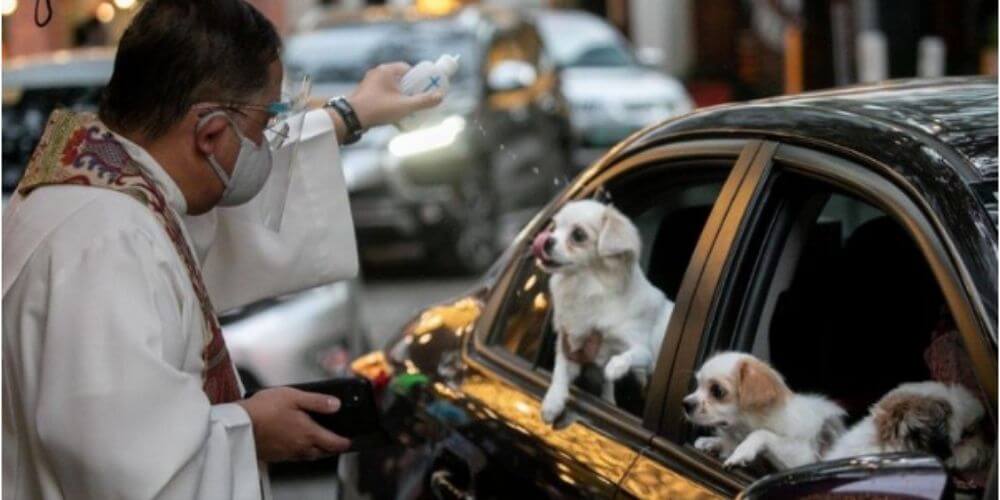 ✌ Sacerdotes filipinos salen a las calles para bendecir a las mascotas ✌