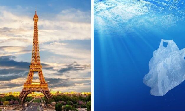 ✌️ “Ecocidio”: Nuevo proyecto que implementará Francia contra los daños al medioambiente ✌️