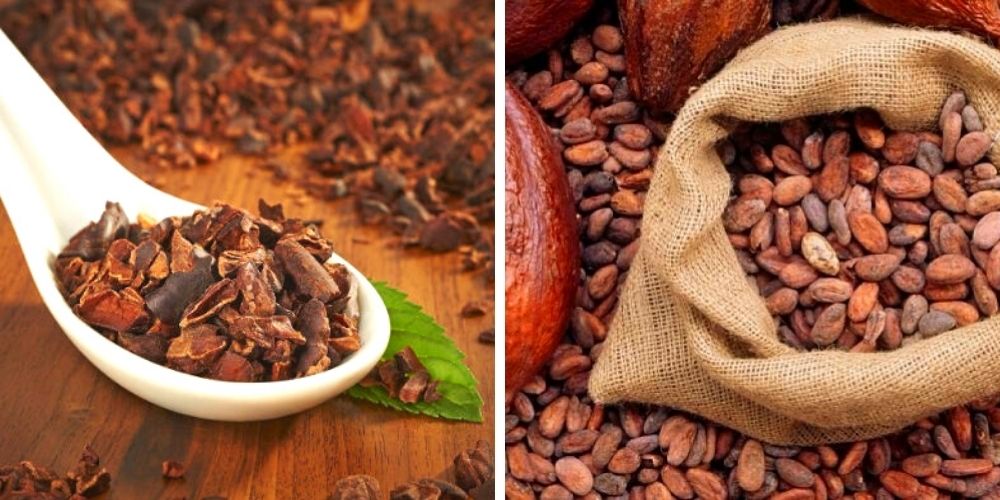 beneficios-y-usos-de-la-cascarilla-de-cacao-para-la-salud-salud-movidatuy.com