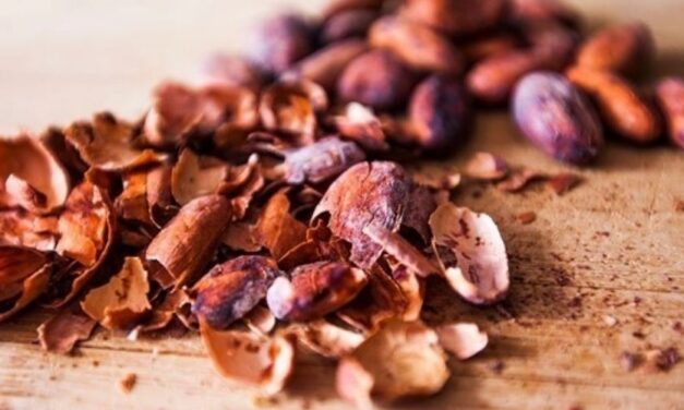 ✅ Beneficios y usos de la cascarilla de cacao para la salud ✅