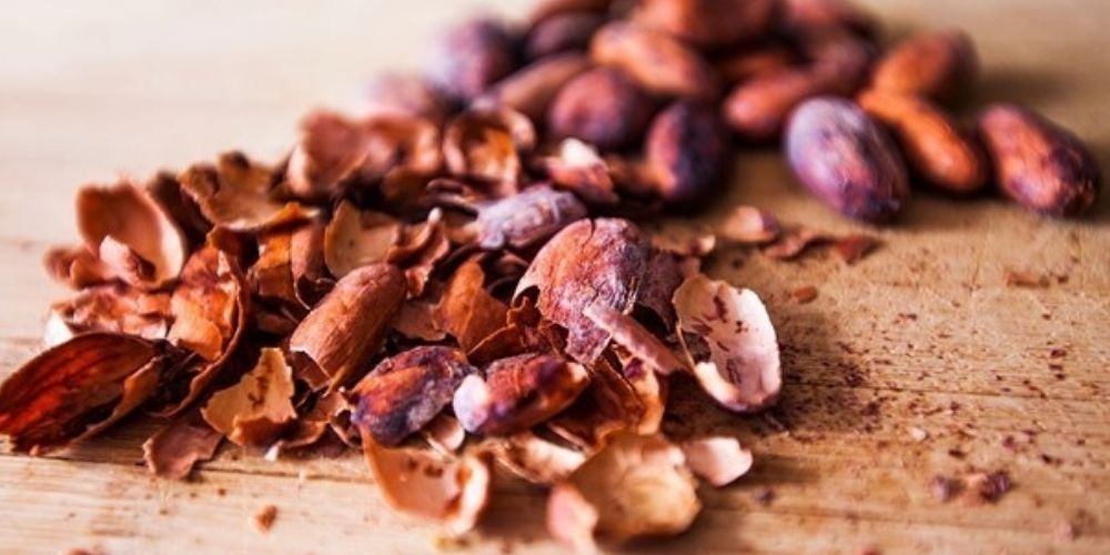 ✅ Beneficios y usos de la cascarilla de cacao para la salud ✅