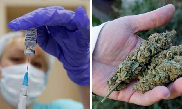 😮 Dispensario de marihuana premiará a quienes se vacunen contra el virus 😮