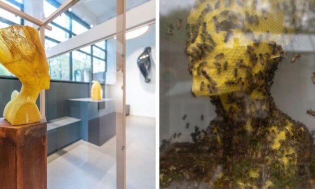 ✌️ Miles de abejas crean estatua de Nefertiti con su panal, todo un arte ✌️