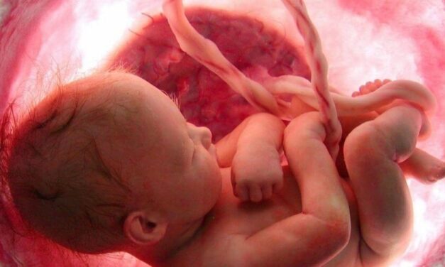 😮 Tras estudios encuentran restos de plástico en la placenta de embarazadas 😮