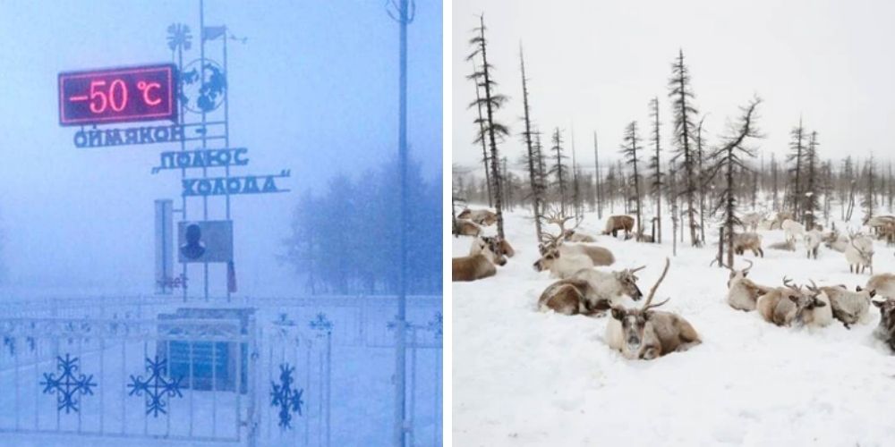 conoce-a-oymyakon-es-la-ciudad-mas-fria-del-mundo-bajas-temperaturas-menos-cincuenta-grados-cilsius-movidatuy.com