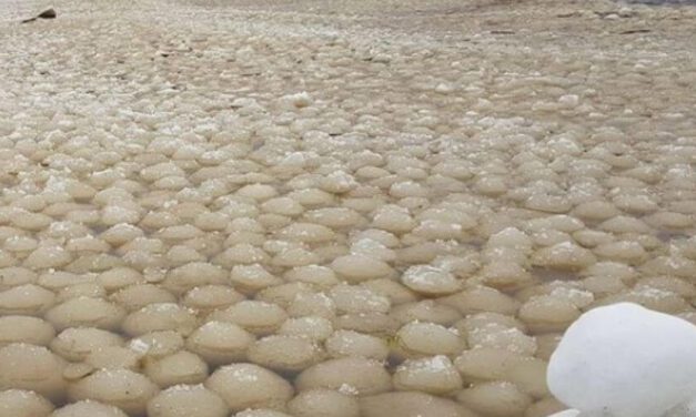 ✌️ Encontraron grandes cantidades de bolas de hielo en la orilla de una playa ✌️