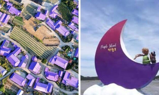 ✌️ La Isla de Banwol llama la atención a sus turistas pintándola de morado ✌️