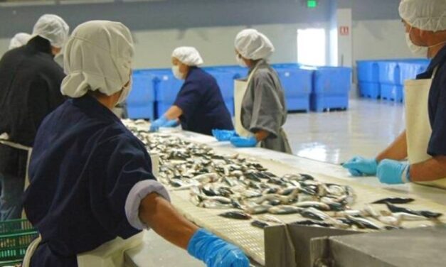 ✅ El Plan Pescado 200 se activará en Semana Santa ✅