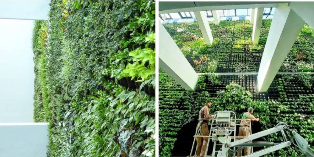 increible-gran-jardin-vertical-estan-construyendo-en-españa-naturaleza-sustentable-movidatuy.com