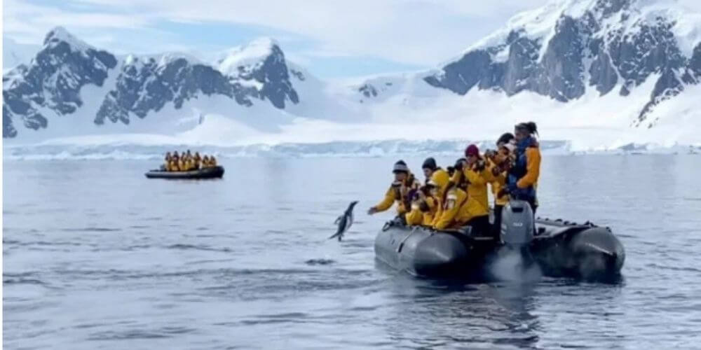 ✌️ Increíble momento en el que un pingüino saltó a un bote para salvar su vida ✌️