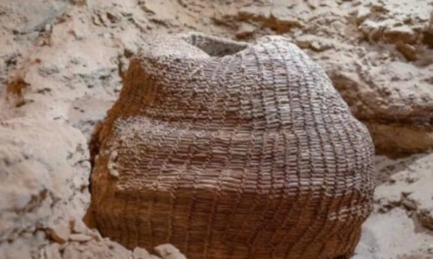 ✌️ Investigadores encuentran la canasta tejida más antigua del mundo en Israel ✌️