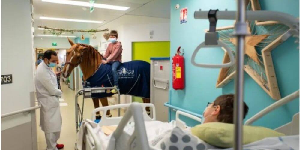 peyo-es-el-caballo-terapeutico-que-consuela-a-una-madre-con-metastasis-tratamiento-terapia-amor-caballo-movidatuy.com