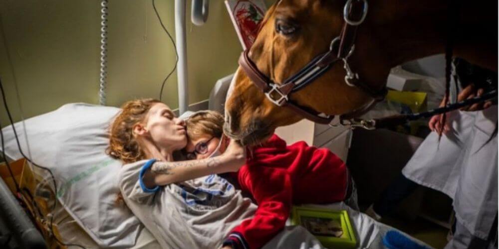 ✌️ Peyo es el caballo terapéutico que consuela a una madre con metástasis ✌️