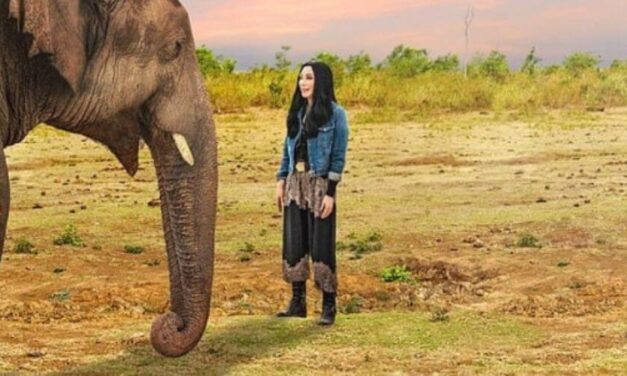 ✌️ Cher viajó hasta Pakistán para conocer al “Elefante más solitario del mundo” ✌️