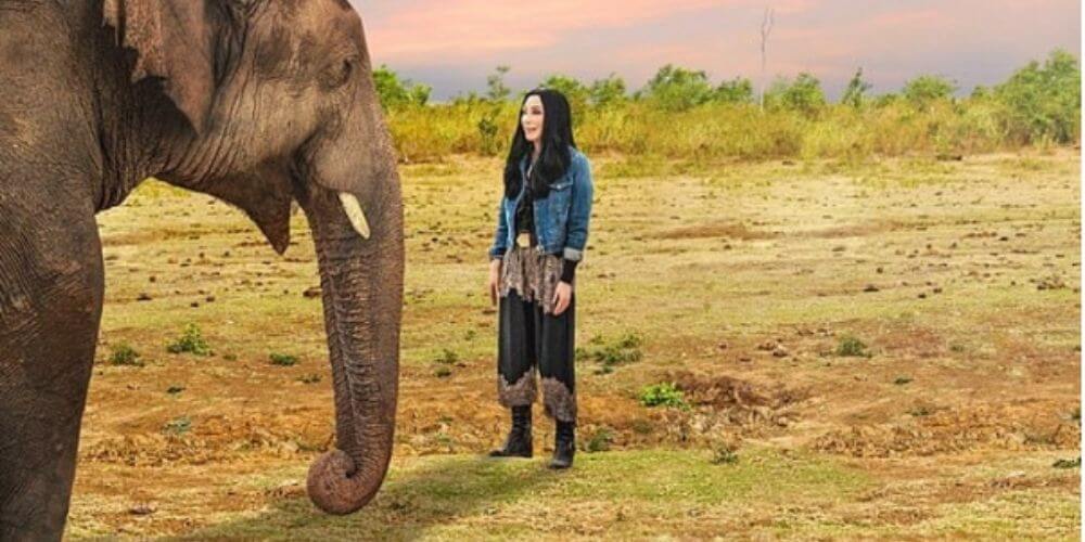 ✌️ Cher viajó hasta Pakistán para conocer al “Elefante más solitario del mundo” ✌️