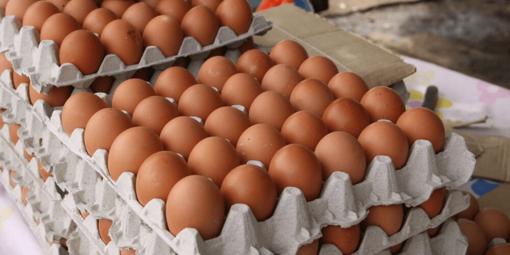 El cartón de huevo superó el aumento salarial del 1 de mayo de 2021